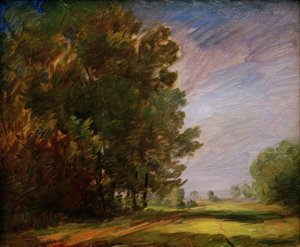 Forest Edge with Bright Meadow Path